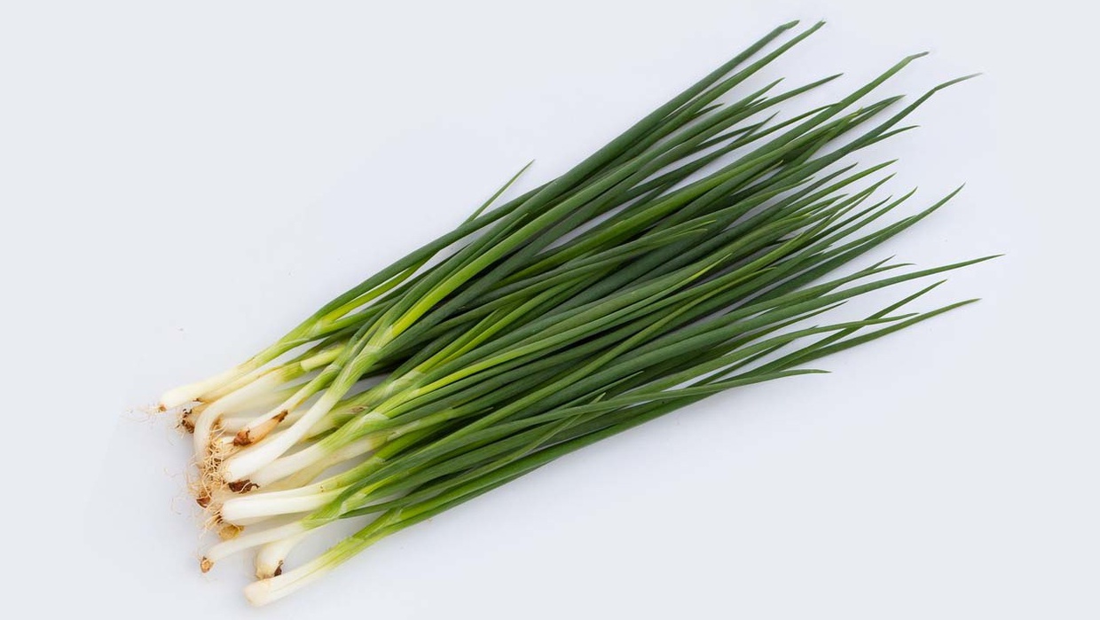 Cara Menyimpan Daun Bawang Agar Tetap Segar dan Tak Mudah Layu