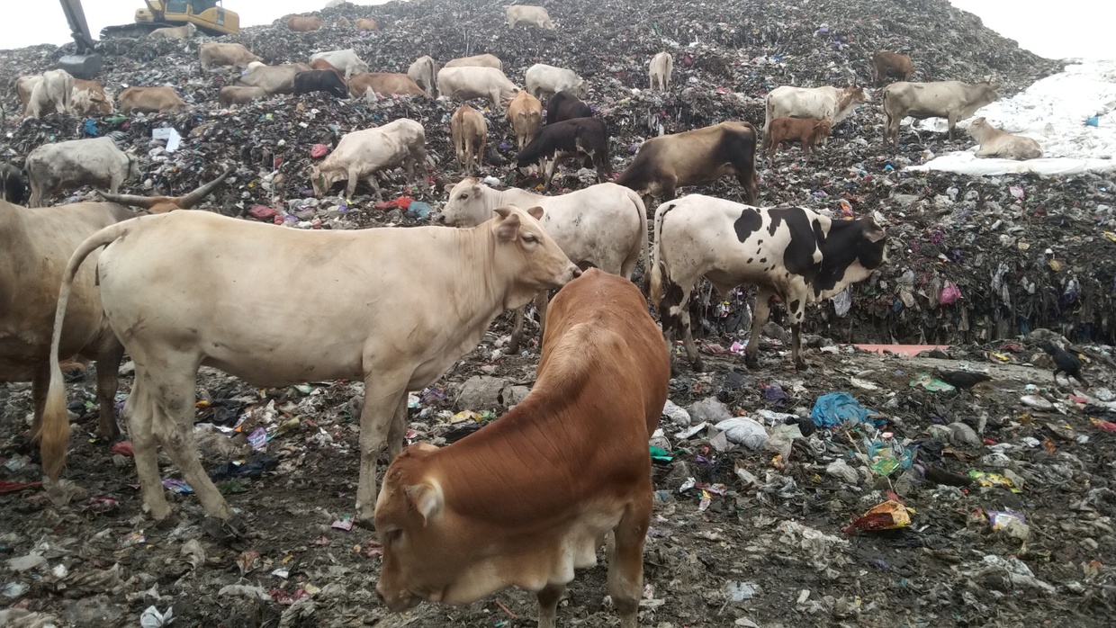 Pengelolaan Sampah Rumah Tangga Agar Tidak Mencemari Lingkungan Pengelolaan Sampah Rumah Tangga Agar Tidak Mencemari Lingkungan