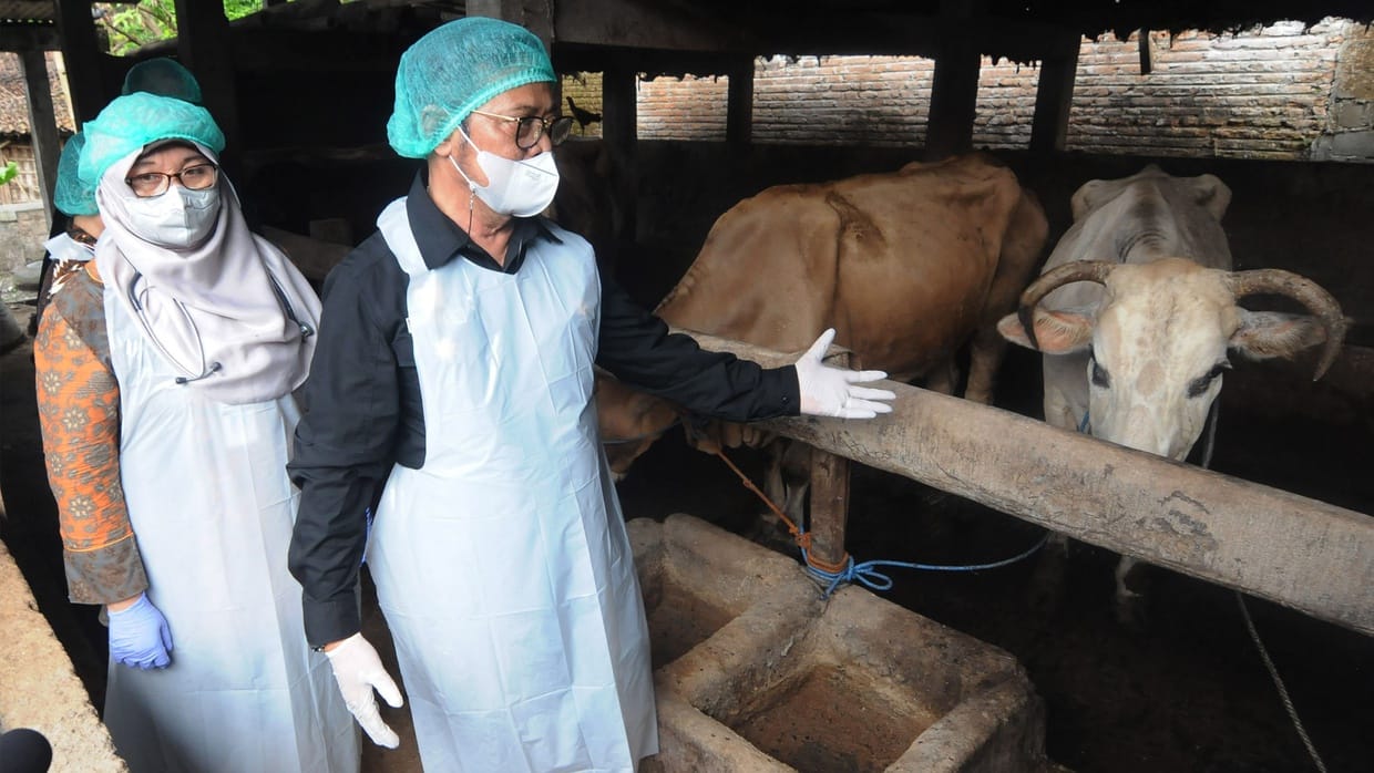 Cegah PMK, Penutupan Pasar Hewan di Boyolali Diperpanjang 14 Hari Cegah PMK, Penutupan Pasar Hewan di Boyolali Diperpanjang 14 Hari