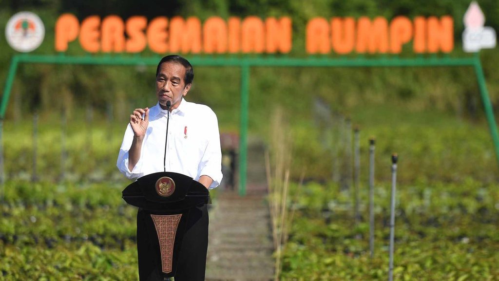 Jokowi Targetkan RI Bisa Swasembada Jagung pada 2024 Jokowi Targetkan RI Bisa Swasembada Jagung pada 2024