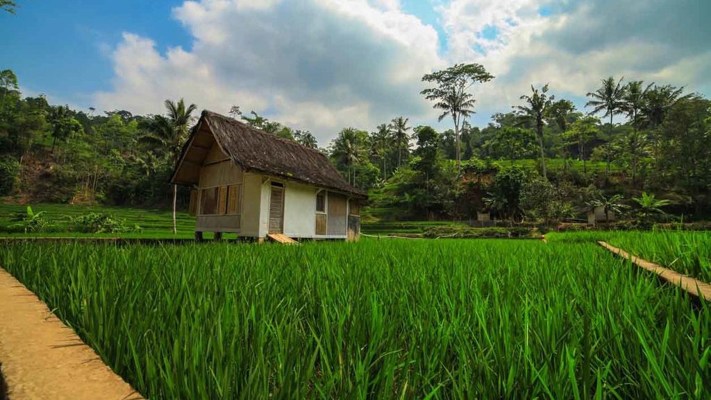 Jualan Dana Desa, Janji yang Diembuskan lewat Pola Patron-Klien Jualan Dana Desa, Janji yang Diembuskan lewat Pola Patron-Klien