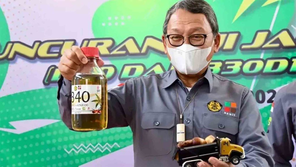 Ada Potensi 3.600 GW, RI Tak akan Babat Hutan untuk Panel Surya