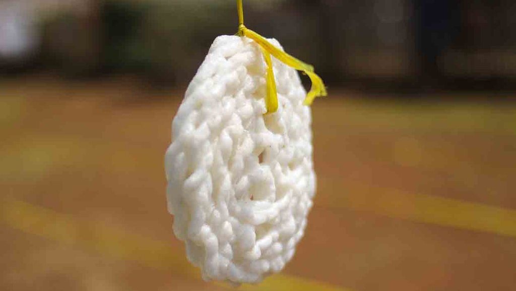 Sejarah Unik Lomba Makan Kerupuk: Selalu Diadakan saat 17 Agustusan