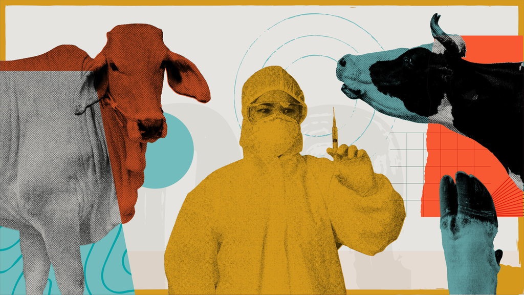 Problem Pelibatan TNI-Polri dalam Vaksinasi PMK