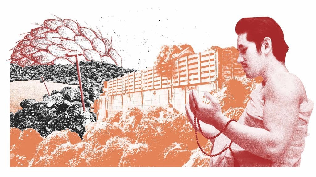 Jejak Masalah Investasi Sawit Tabung Haji Malaysia di Indonesia