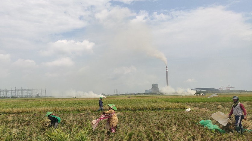 Prinsip Cara Kerja PLTU Batu Bara dan Komponen Penyusunnya