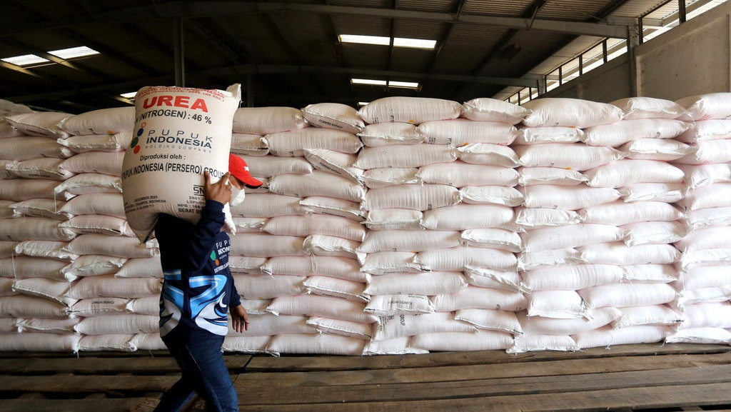 Niat Ekspor di Tengah Sulitnya Petani Dapat Akses Pupuk Subsidi Niat Ekspor di Tengah Sulitnya Petani Dapat Akses Pupuk Subsidi