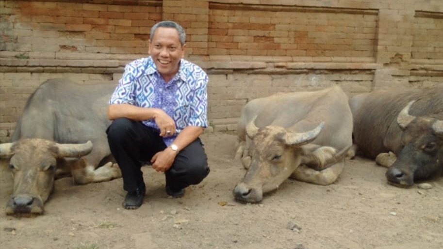 Jokowi Sebut Penyakit Zoonosis Makin Meningkat, Ini Penanganannya