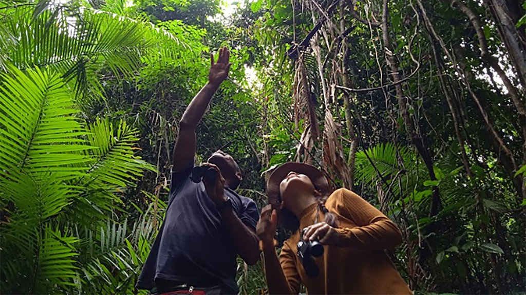 Alasan Mengapa Keanekaragaman Hayati Penting dalam Ekosistem Alasan Mengapa Keanekaragaman Hayati Penting dalam Ekosistem