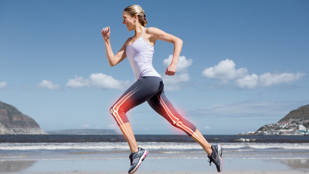 Macam Tulang Penyusun Rangka Manusia dan Fungsi Sistem Rangka Macam Tulang Penyusun Rangka Manusia dan Fungsi Sistem Rangka