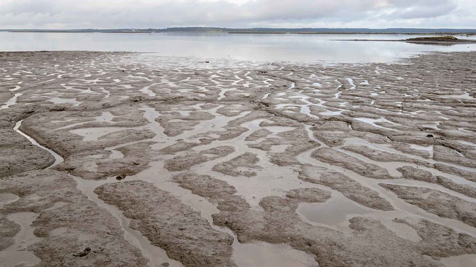 Kadin Akui Cuan Ekspor Pasir Laut Besar Kadin Akui Cuan Ekspor Pasir Laut Besar