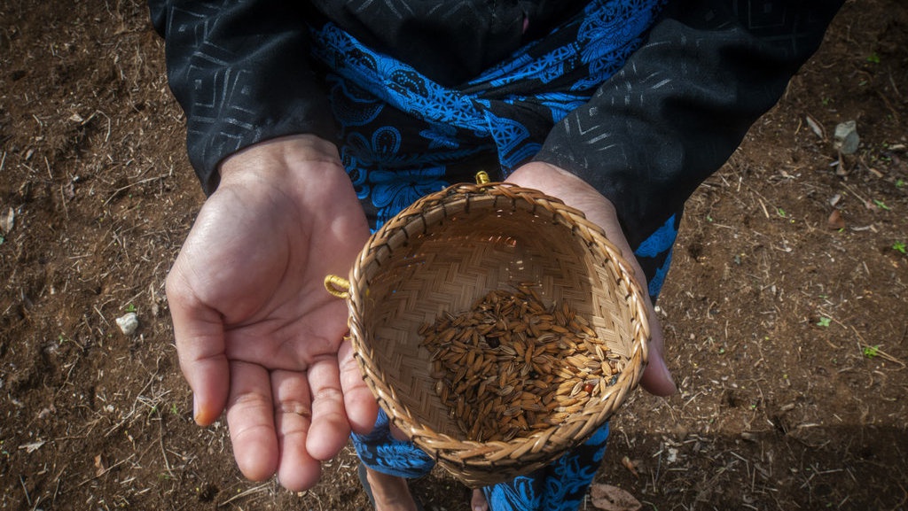 Desa Wisata Saba Budaya Badui Desa Wisata Saba Budaya Badui