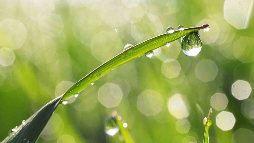 10 Contoh Perubahan Wujud Benda Gas ke Padat dan Cair