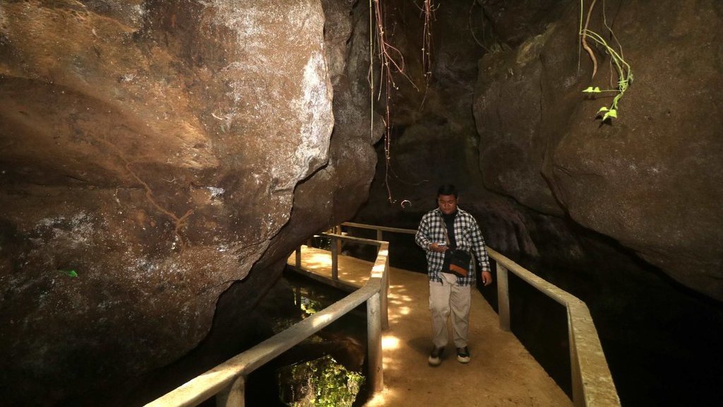 Krisis Energi, Petani Eropa Optimalkan Lagi Pemakaian Gua Krisis Energi, Petani Eropa Optimalkan Lagi Pemakaian Gua