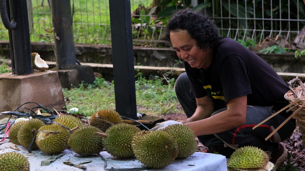 Manfaat Buah Durian dan Cara Memilih yang Bagus Serta Lezat