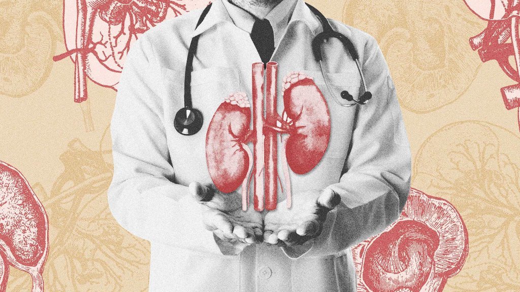 Sinyal Bahaya dari Gangguan Ginjal Akut di Indonesia Sinyal Bahaya dari Gangguan Ginjal Akut di Indonesia