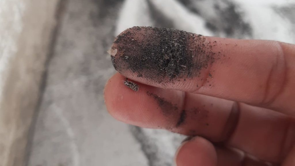 Warga Marunda Keluhkan Cemaran Abu Batu Bara usai PT KCN Ditutup