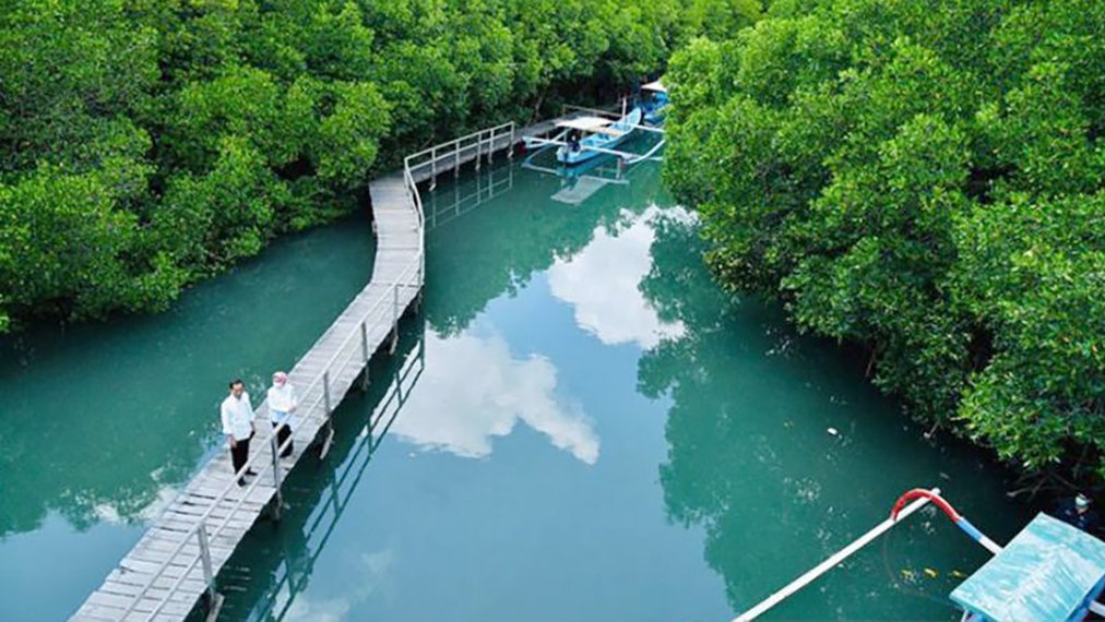 Mengenal Tahura Ngurah Rai yang Dikunjungi Delegasi KTT G20 Bali