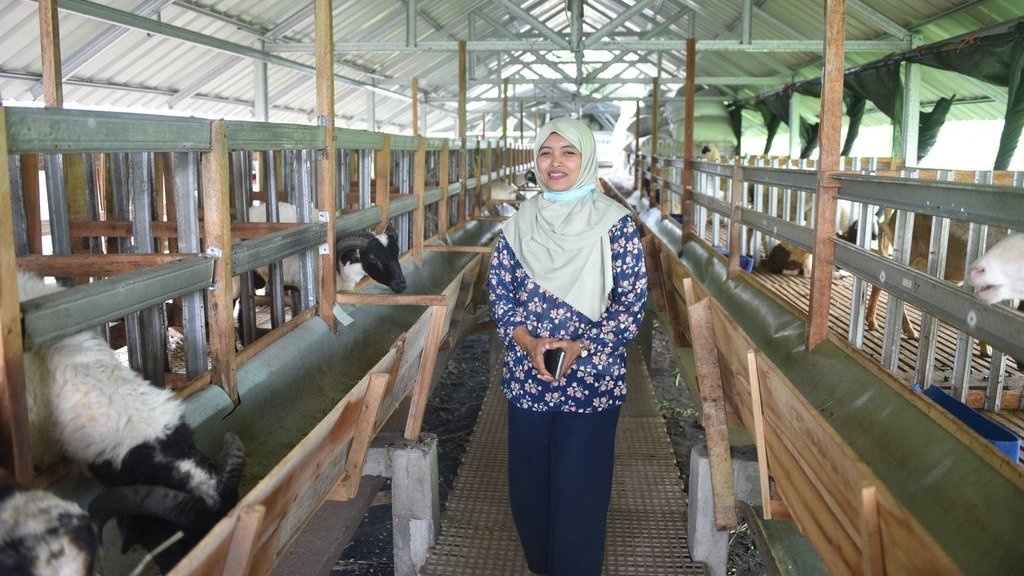 Cara Vita Krisnadewi Membela Negara dengan Peternakan Domba