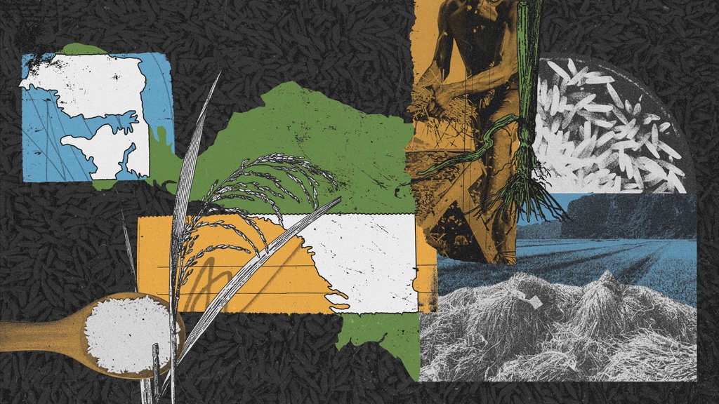 Ambisi Lumbung Pangan Nasional & Sederet Jejak Bencana di Papua Ambisi Lumbung Pangan Nasional & Sederet Jejak Bencana di Papua