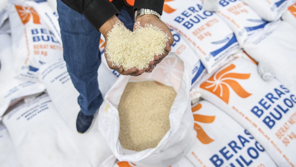 Pemerintah Impor 500 Ribu Ton Beras Jelang Nataru 2023 Pemerintah Impor 500 Ribu Ton Beras Jelang Nataru 2023