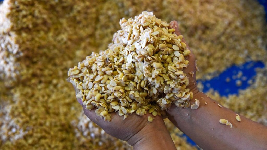 Airlangga Pastikan Impor Kedelai dari AS Tak Rugikan Petani RI