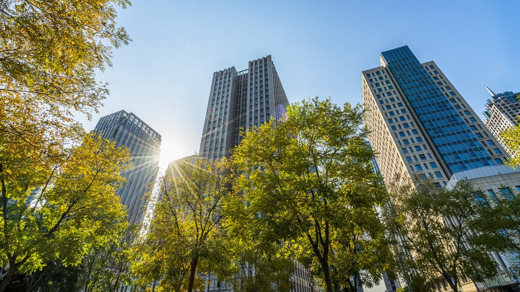 Cities4Forests: Inisiatif Membangun Kota-Kota Berkelanjutan Cities4Forests: Inisiatif Membangun Kota-Kota Berkelanjutan