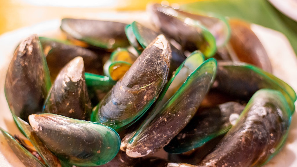 Manfaat Kerang Hijau dan Apa Saja Risiko Kesehatannya Manfaat Kerang Hijau dan Apa Saja Risiko Kesehatannya