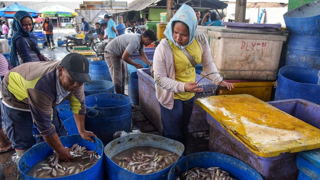 Rencana Hilirisasi Perikanan jadi Pekerjaan Rumah Jokowi
