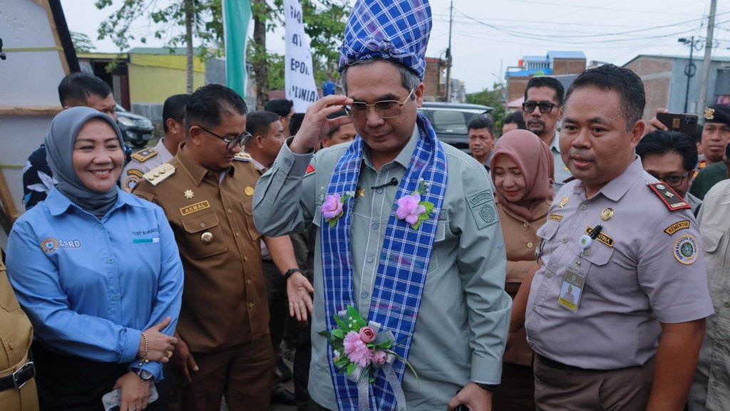 Pemerintah Bakal Selipkan Padi Gogo di 500 Ribu Ha Lahan Sawit Pemerintah Bakal Selipkan Padi Gogo di 500 Ribu Ha Lahan Sawit