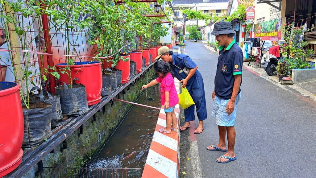 Tren Budidaya Ikan di Selokan dan Manfaatnya Bagi Lingkungan Tren Budidaya Ikan di Selokan dan Manfaatnya Bagi Lingkungan