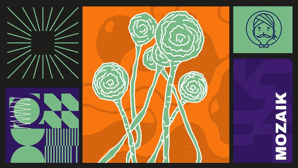 WHO Tegaskan Jamur Sebagai Ancaman Kesehatan Global WHO Tegaskan Jamur Sebagai Ancaman Kesehatan Global