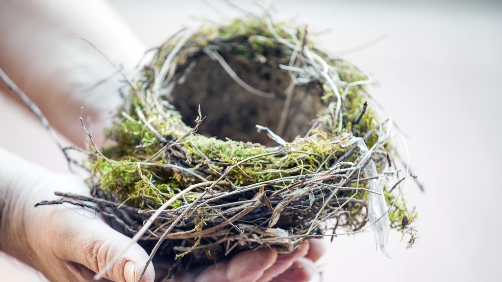 Tanda-tanda Empty Nest Syndrome dan Cara Mengatasinya Tanda-tanda Empty Nest Syndrome dan Cara Mengatasinya