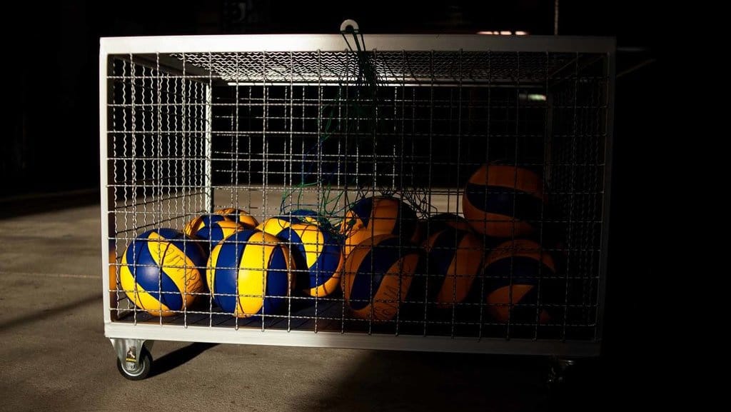 Daftar Pemain Hillstate Liga Voli Korea 2023-24 & Nomor Punggung