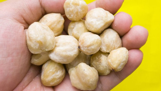Apakah Hazelnut Itu Kemiri? Apa Perbedaan dan Manfaatnya Apakah Hazelnut Itu Kemiri? Apa Perbedaan dan Manfaatnya