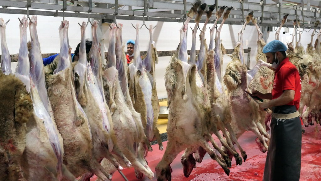 Bolehkah Ibu Hamil Makan Daging Kambing, Simak Penjelasannya Bolehkah Ibu Hamil Makan Daging Kambing, Simak Penjelasannya