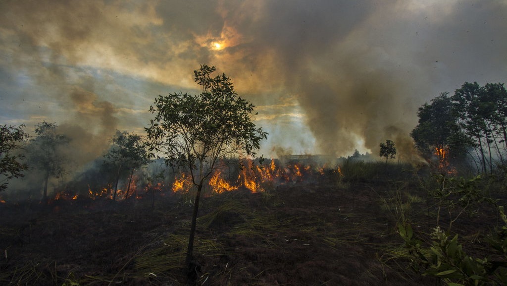 Antisipasi El Nino, BNPB Bikin Hujan Buatan di Enam Provinsi