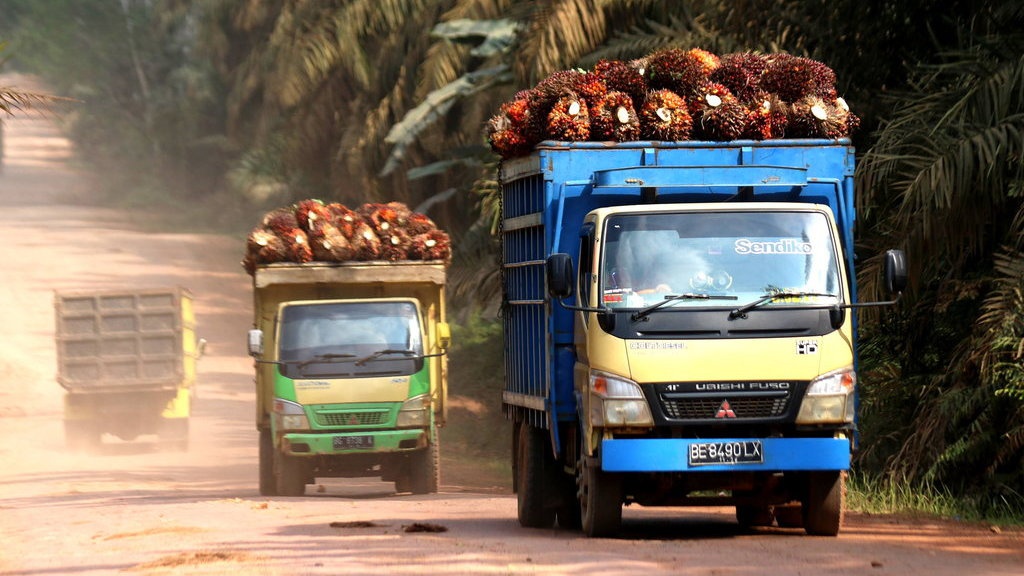 Sawit Berkontribusi Besar ke Ekonomi, tapi Produktivitas Stagnan Sawit Berkontribusi Besar ke Ekonomi, tapi Produktivitas Stagnan