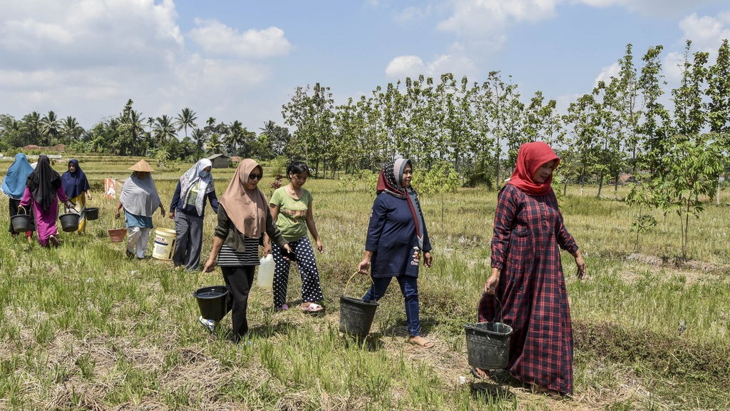 Dampak Kekeringan yang Terjadi di Provinsi Jabar, Jateng & Jatim Dampak Kekeringan yang Terjadi di Provinsi Jabar, Jateng & Jatim