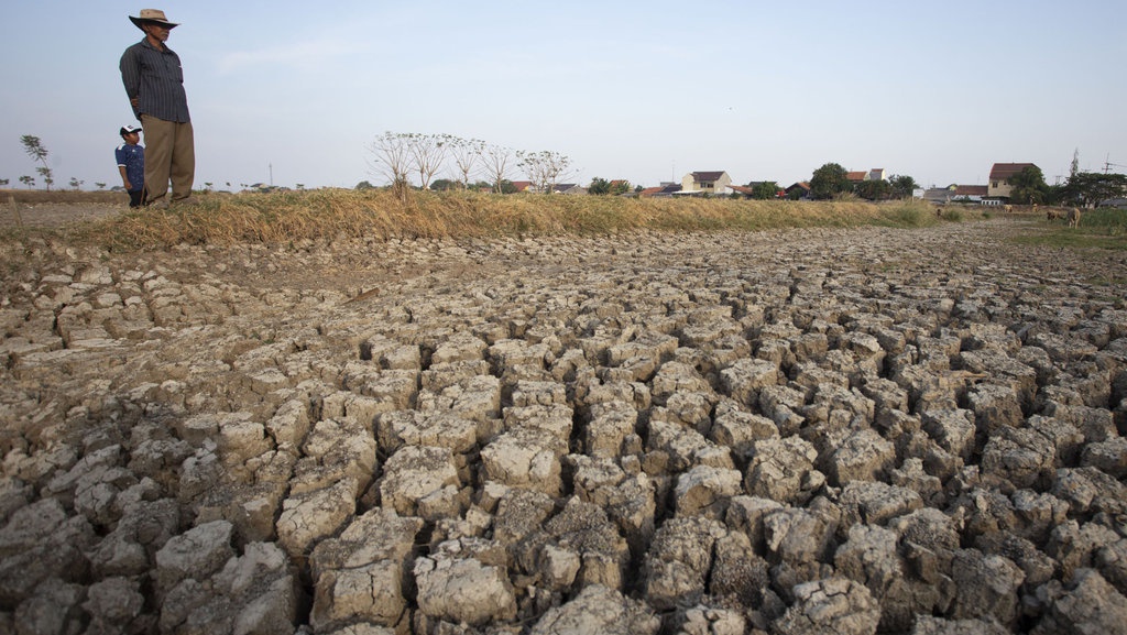 BNPB: 2 Desa di Karawang Dilanda Kekeringan & Krisis Air Bersih