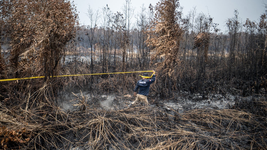 Rentetan Karhutla & Lemahnya Mitigasi hingga Penegakan Hukum Rentetan Karhutla & Lemahnya Mitigasi hingga Penegakan Hukum