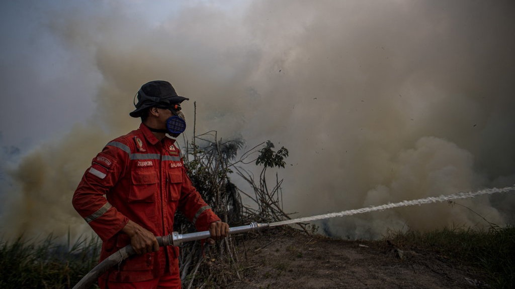 Masih Adakah Masa Depan untuk Hutan di Jawa Timur? Masih Adakah Masa Depan untuk Hutan di Jawa Timur?