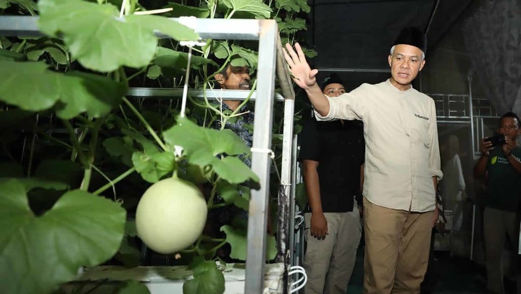 Ganjar: Petani Milenial Berkembang Jika Difasilitasi Pemerintah Ganjar: Petani Milenial Berkembang Jika Difasilitasi Pemerintah