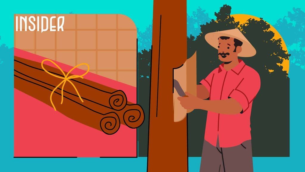 Kontroversi Selimuti Keperkasaan RI di Pasar Kayu Manis Global Kontroversi Selimuti Keperkasaan RI di Pasar Kayu Manis Global