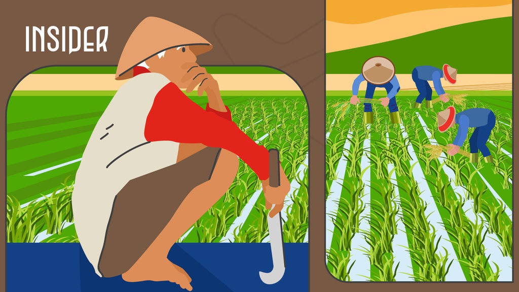 Di Tengah Bonus Demografi, RI Alami Percepatan Penuaan Penduduk Di Tengah Bonus Demografi, RI Alami Percepatan Penuaan Penduduk