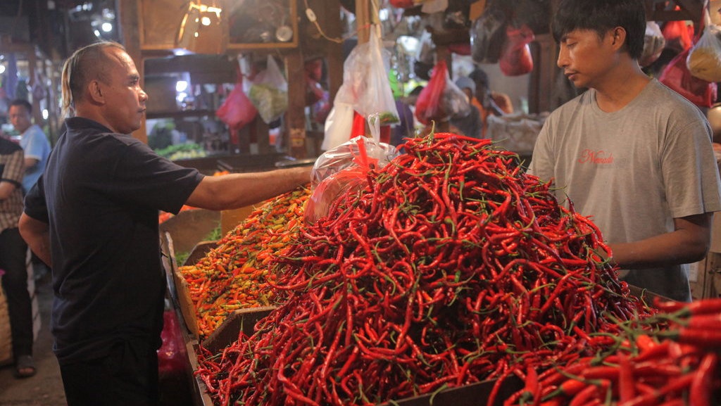 Update Harga Pangan: Cabai Rp150 Ribu/Kg di Sulawesi Tenggara Update Harga Pangan: Cabai Rp150 Ribu/Kg di Sulawesi Tenggara