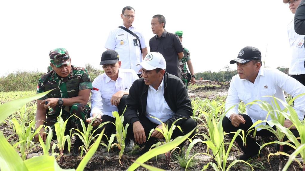 Biaya Food Estate dari Investasi, Apakah Ada Investor yang Mau? Biaya Food Estate dari Investasi, Apakah Ada Investor yang Mau?