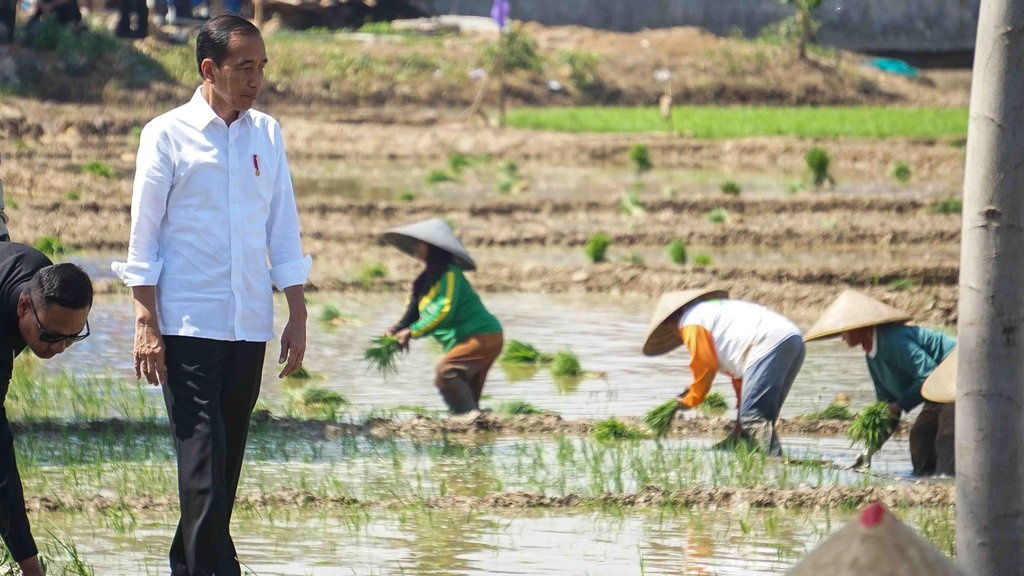 Jokowi Singgung Ada Kantor Pemkot Dicat Warna Parpol Jokowi Singgung Ada Kantor Pemkot Dicat Warna Parpol