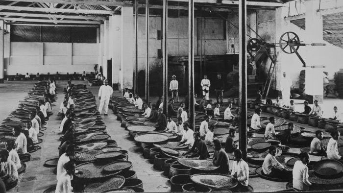 Faktor yang Melatarbelakangi Sistem Tanam Paksa di Indonesia Faktor yang Melatarbelakangi Sistem Tanam Paksa di Indonesia