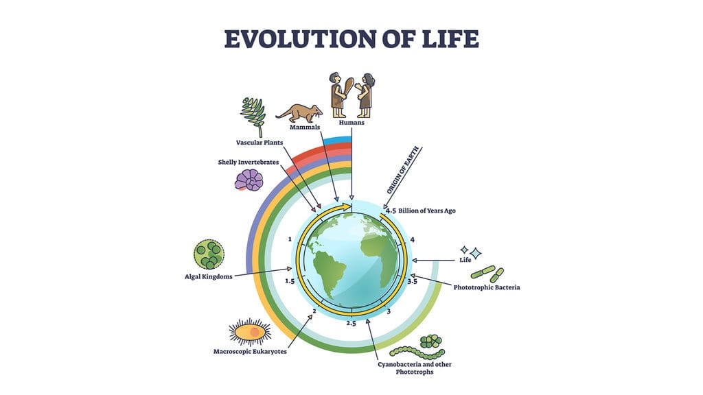 Teori Evolusi Kimia Menurut Harold Urey, Stanley Miller, Oparin Teori Evolusi Kimia Menurut Harold Urey, Stanley Miller, Oparin